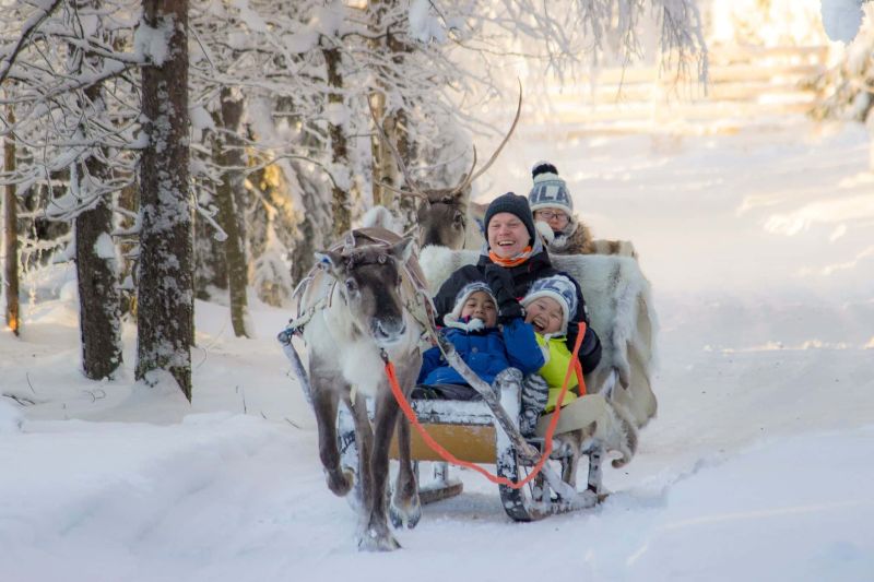 Porotilavierailu ja lyhyt poroajelu